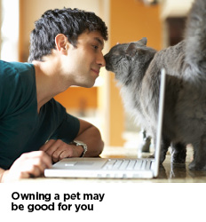 Owning a Pet may be good for you