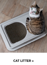 Cat Litter