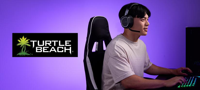 Turtle Beach