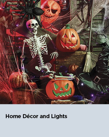 Home Décor and Lights