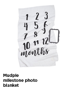Mudpie Milestone Photo Blanket
