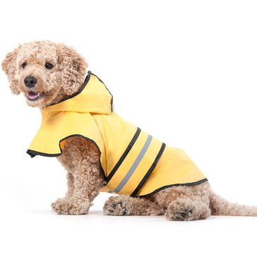 Fashion Pet Rainy Days Slicker Yellow, XS