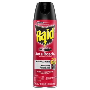 Raid Outdoor Fresh Scent Ant & Roach Aerosol Can