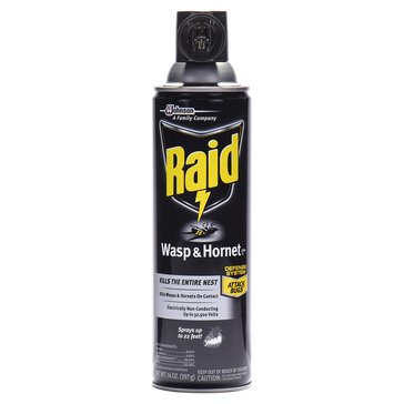 Raid Wasp and Hornet Killer Aerosol Can