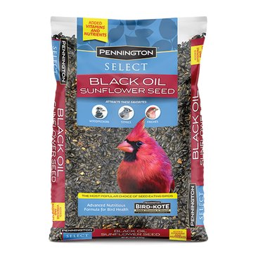 Pennington Classic Black Oil Sunflower Seed Bird Food, 10-lb