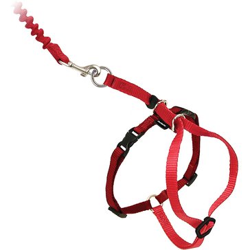 PetSafe Come With Me Kitty Cat Harness & Bungee Leash, Medium 