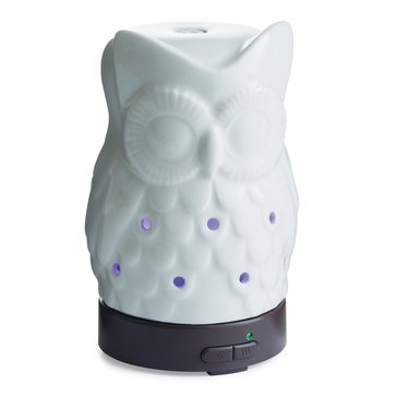 Candle Warmers Porecelain Owl Diffuser