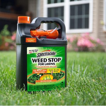 Spectricide 32oz Weed Stop Plus Crabgrass 