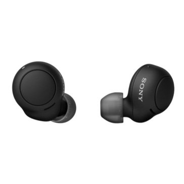 Sony True Wireless In-Ear Earbuds (WF C500)