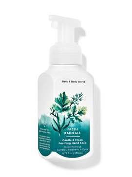 Bath & Body Works Fresh Rainfall Gentle & Clean Foaming Hand Soap