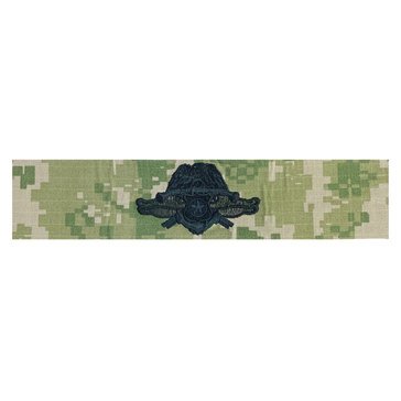 NAVY SECURITY FORCE MASTER SPECIALIST/OFFICER NWU Type-III