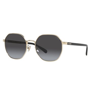 Coach Women's Irregular Sunglasses