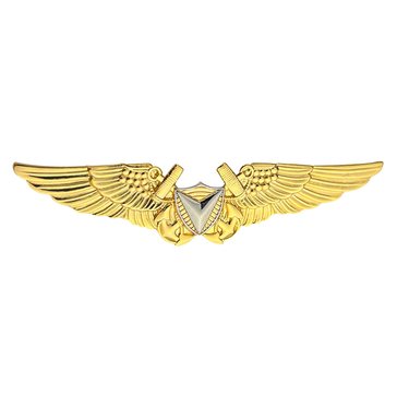 Badge Regular Size Air Vehicle Pilot AVP