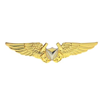 Badge Miniature Size Air Vehicle Pilot AVP