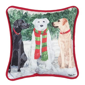 CF Home Snow Labs Pillow