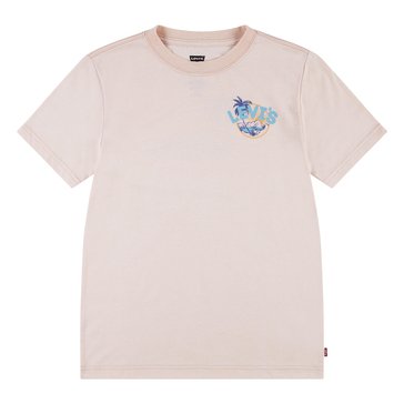 Levi's Big Boys Scenic Summer Tee