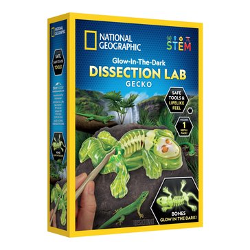 National Geographic Glow In The Dark Gecko Dissection Lab