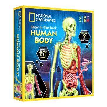 National Geographic Glow In The Dark Human Body Kit