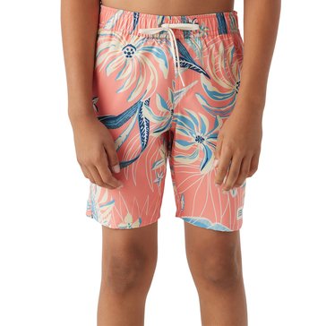 O'Neill Big Boys' Hermosa Elastic Waist Boardshorts