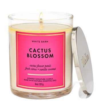 Bath & Body Works Cactus Blossom Core Tumbler Single Wick Candle