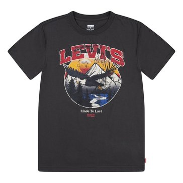 Levi's Big Boys' Soar Like An Eagle Tee