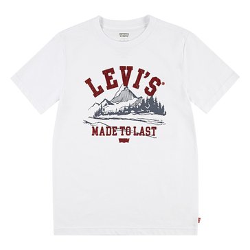 Levi's Big Boys' Hiking Season Tee