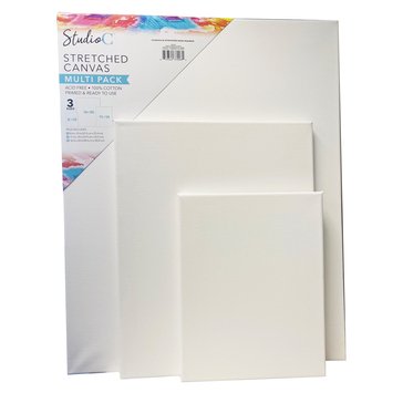 Carolina Pad Stretched Canvas In Various Sizes, 3-Pack