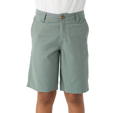 O'Neill Big Boys' Reserve Light Check 18 Shorts