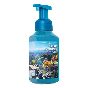 Bath & Body Works Crisp Morning Air Foaming Soap