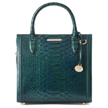 Brahmin Small Caroline Satchel