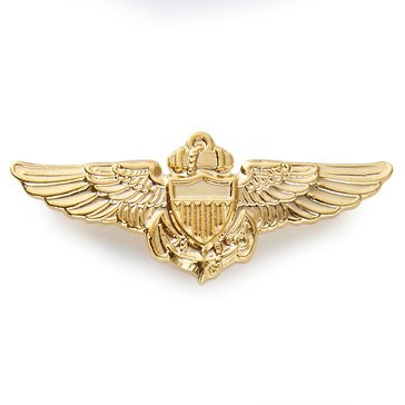 Mitchell Proffitt USN Aviator Pin