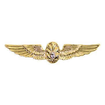 Warfare Badge Miniature FLT SURGEON Gold