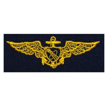 Navy Coverall Warfare Badge Astronaut
