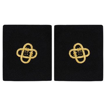 Sleeve Device in Gold on Blue for CWO Electronic Technician