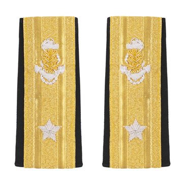 Soft Boards RDML Lower (1 Star) Medical Service Corps