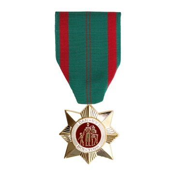 Medal Large Vietnam Civil Action 1st Class