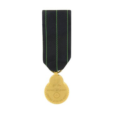 Medal Miniature Navy Expert Rifle