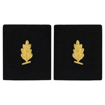 Sleeve Device in Gold on Blue for Medical Service Corps