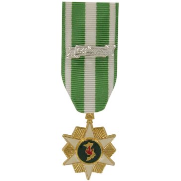 Medal Miniature Anodized Vietnam Campaign with 60