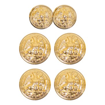 Buttons FULL SET: Gold 35L(4) with Bodkins and 28L(2) 